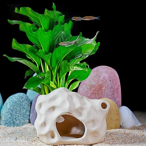 PENCK Acuario Betta Fish House Cerámica Coral Pequeño Camarón Escondite Cueva Fish Tank Decoración Accesorios Decoraciones para Cíclidos Acuáticos