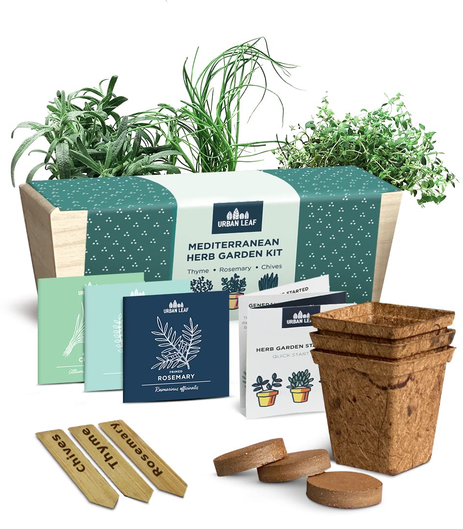 Herb Garden Kit Indoor – Organic Indoor Herb Garden Starter Kit – Rosemary, Chives, Thyme Seeds – Sturdy Reusable Planter, Enriched Soil & Bamboo Labels – Indoor Garden Kit by Urban Leaf