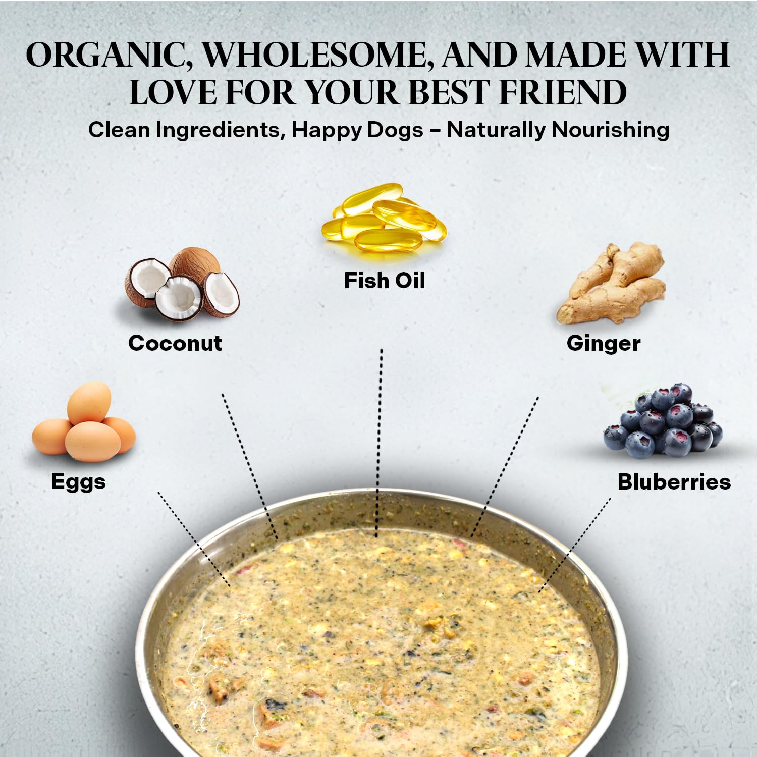 Skin Allergies Homemade Dog Food Recipes For Allergies Homemade