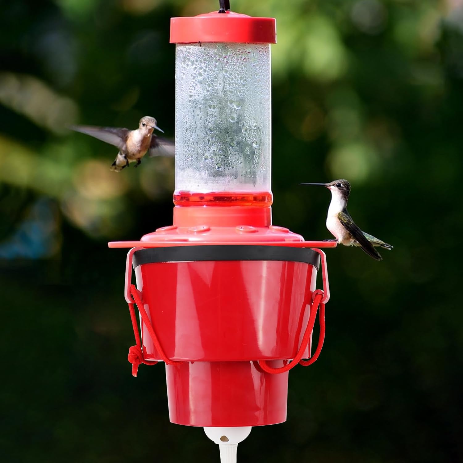 Hummingbird Feeder Heater, Hummingbird Feeder Warmer for