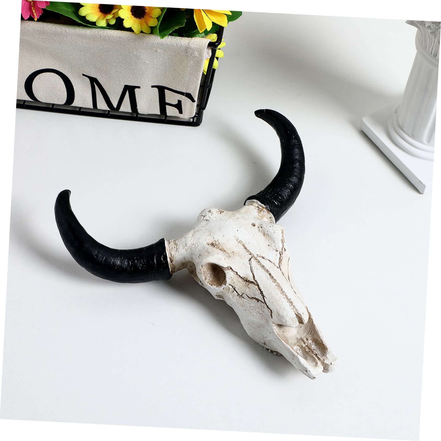 ULDIGI 2 Pièces d'Halloween goodies halloween decoration mural crâne de corne de vache synthétique crâne de vache réel bœuf ours tenture murale atsem projets d'art