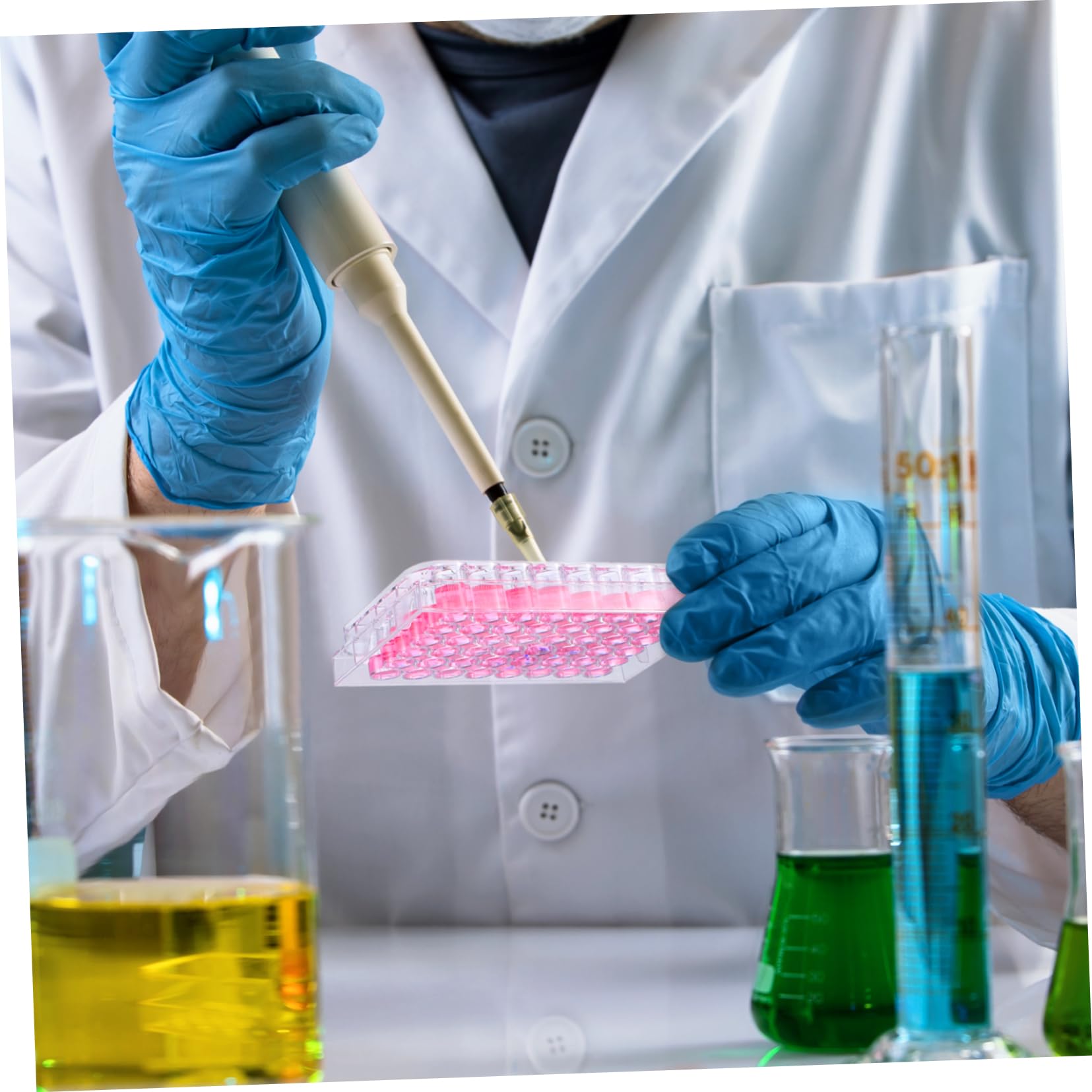 iplusmile 15 Pezzi Piastra Di Coltura Servire Piastra Trattata Con Coltura Tissutale Piatto Pasquale Targhe Automobilistiche Stendibiancheria Gel Porta Piatto Con Coperchio Scientifico 5×7