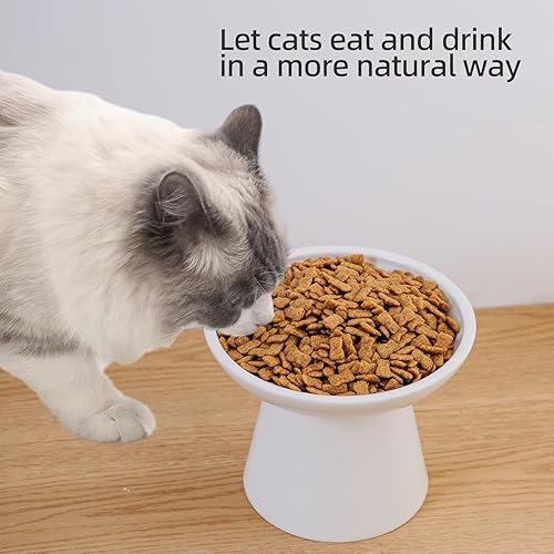 Vista 60 de Cuenco elevado extra ancho para comida para gatos, cuencos de cerámica para alimentos y agua, plato ancho y poco profundo para gatos, fatiga