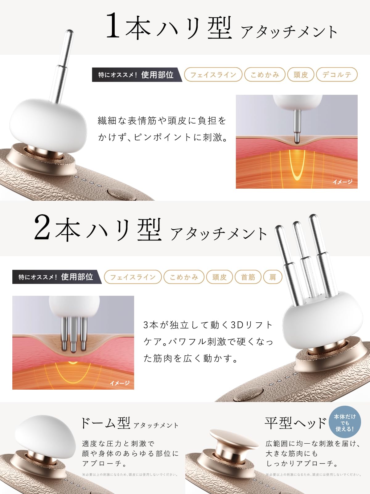 Amazon.co.jp: 【九州大学博士監修 フェイスポイント×筋膜リリースガン