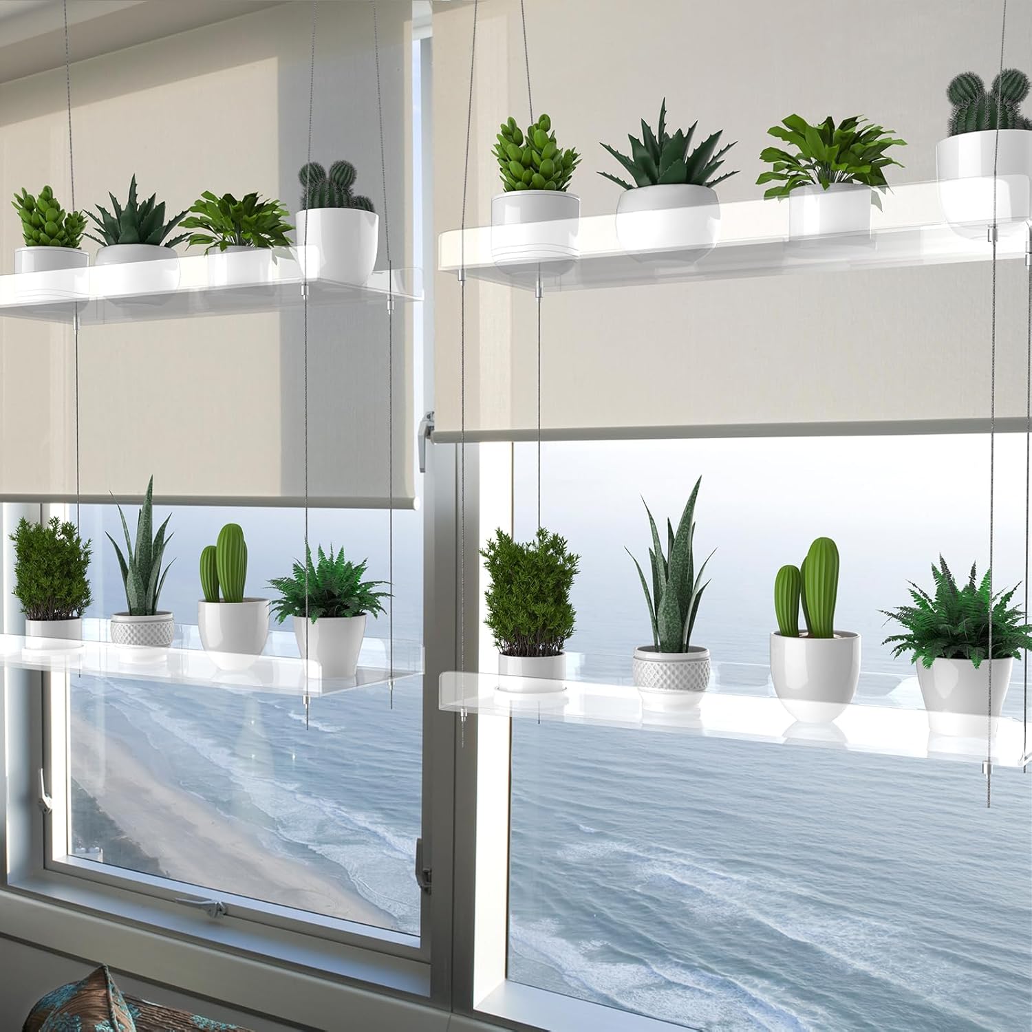 Hanging Clear Plant Shelves