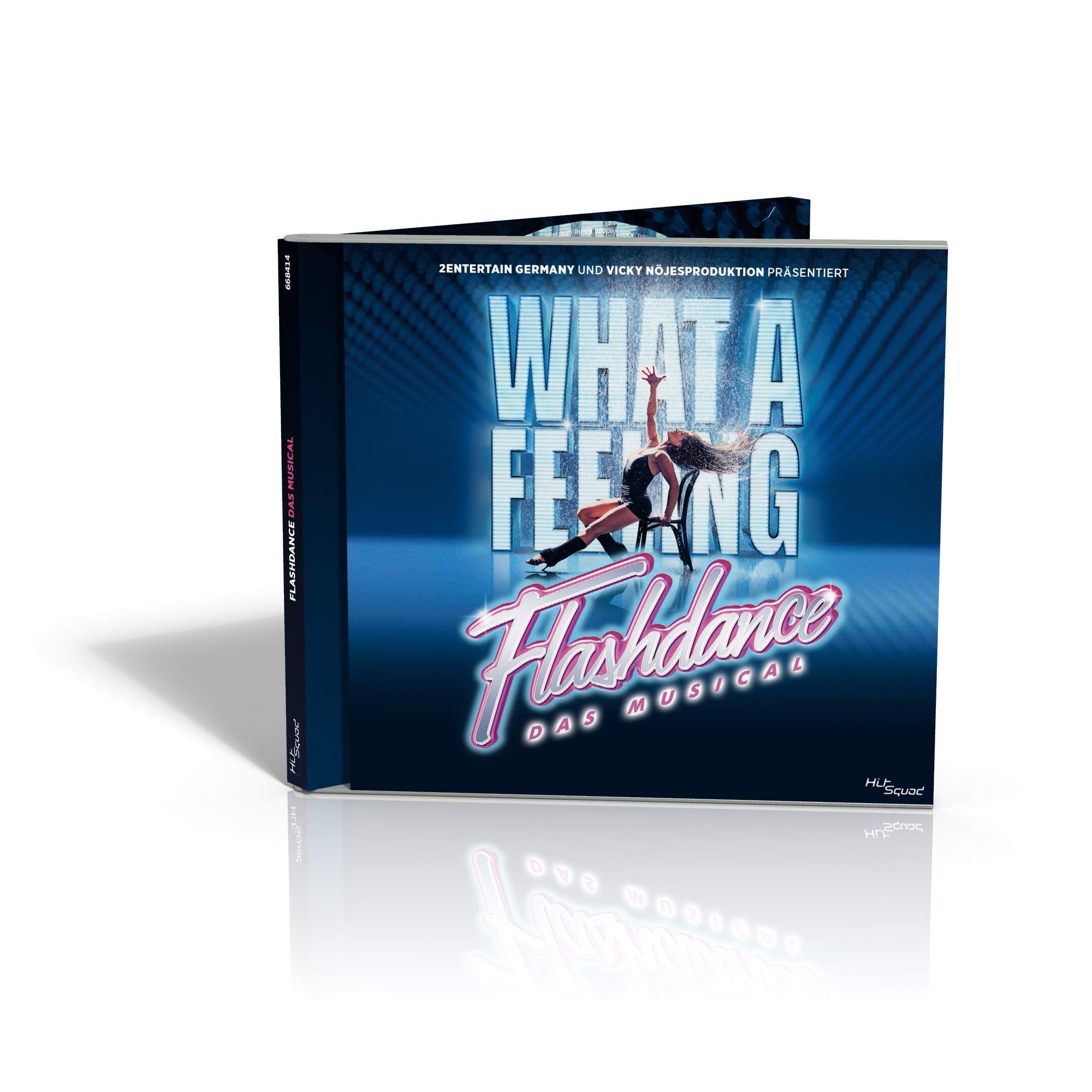 Flashdance-das Musical