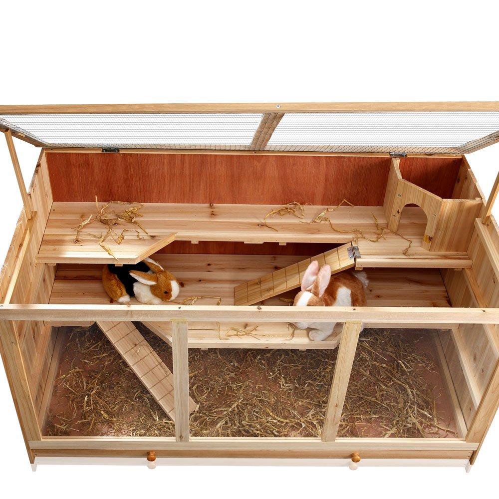 Geschikte huisvesting voor Gerbils? Een Gerbilarium. 60x40x40 kooi Geschikte huisvesting voor Gerbils? Een Gerbilarium. 60x40x40 kooi