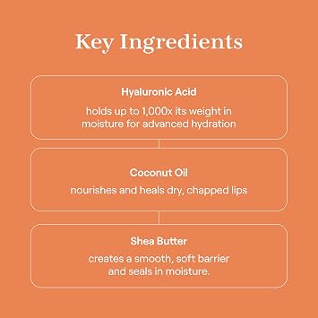 Live Tinted Huegloss High-Shine Hydrating Lip Gloss - Warm Spice, 0.15 oz