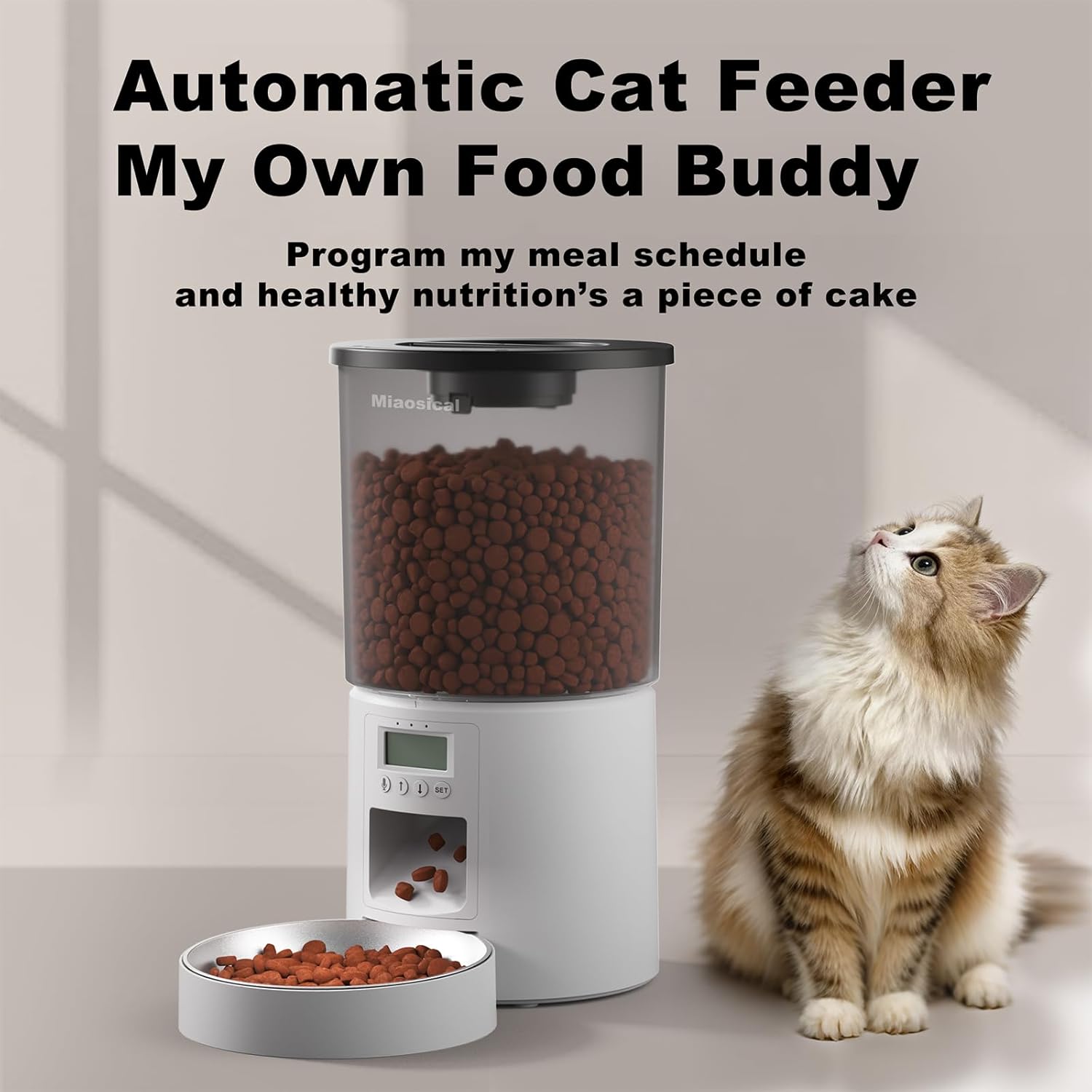 猫用自動給餌器 透明タンク シングルボウルタイプ 音声録音付き（10秒） タイマー給餌6回分 停電時も安心の2電源対応 4.2L大容