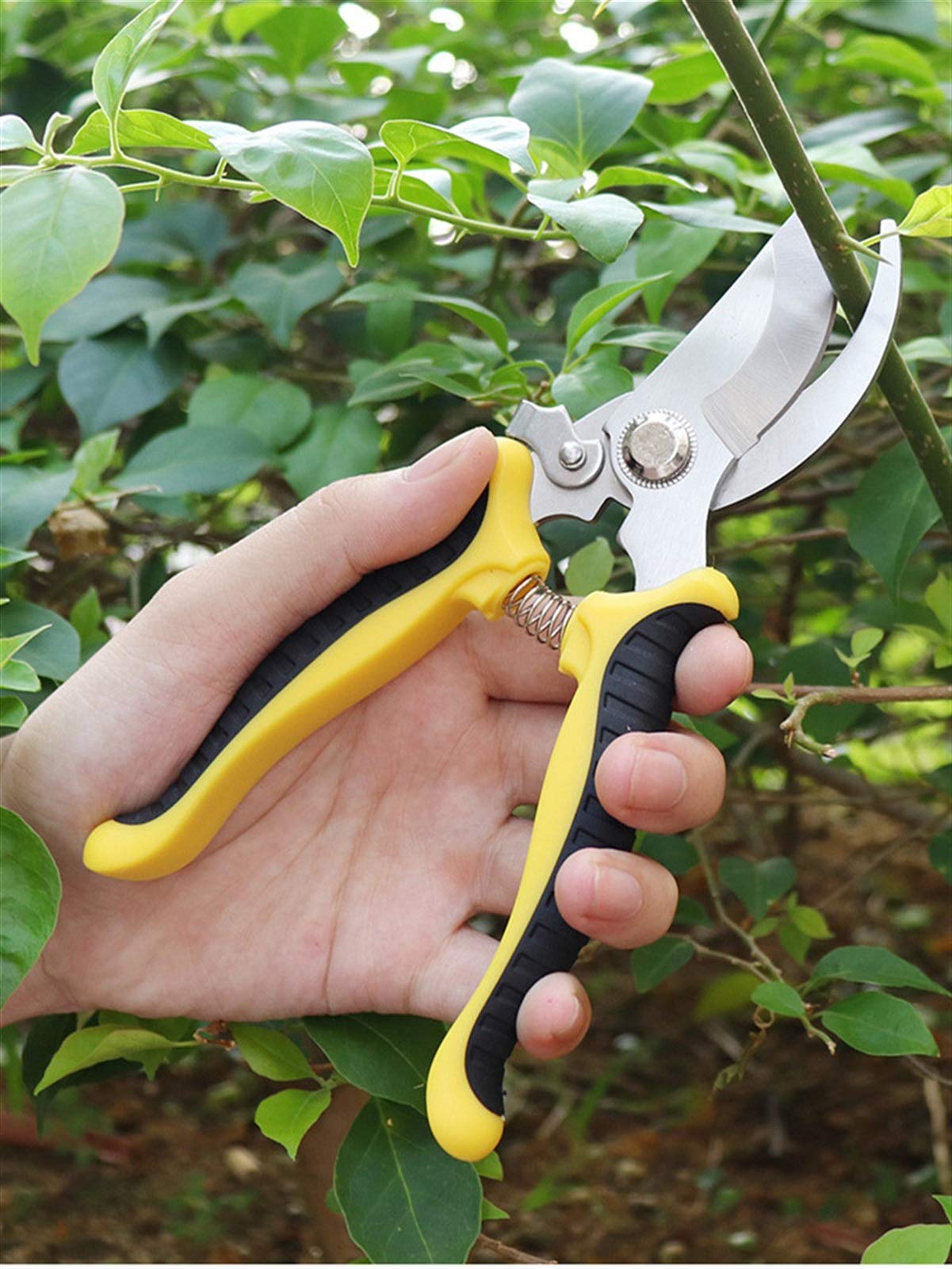 Herramienta de Recorte Jardinería Herramientas de injerto Agricultura Tijeras de podar Árbol frutal Césped Desbrozadora Tijeras de podar Plantación de jardín Bonsai Herramienta Utilizada para trabaj