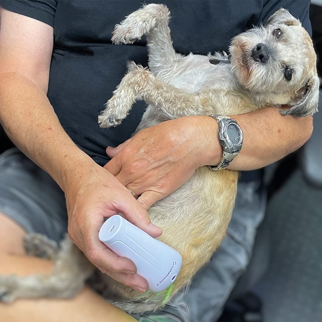 LumaSoothe 2-Light Therapy para Perros y Mascotas, Terapia de luz LED para aliviar el Dolor Muscular, el Dolor Articular, Reducir la inflamación, Curar heridas, Limpiar la Piel 2 Modos terapéuticos