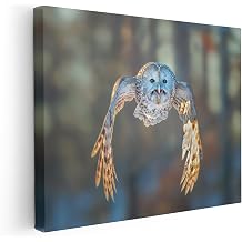 Monem Art Ural Owl in Flight Over Water Print - Flying to Me Poster - Animal Photography Wall Decor - Bedroom or Living Room Decor - 12x16 STRETCHED CANVAS Wall Art by Annie Poreider