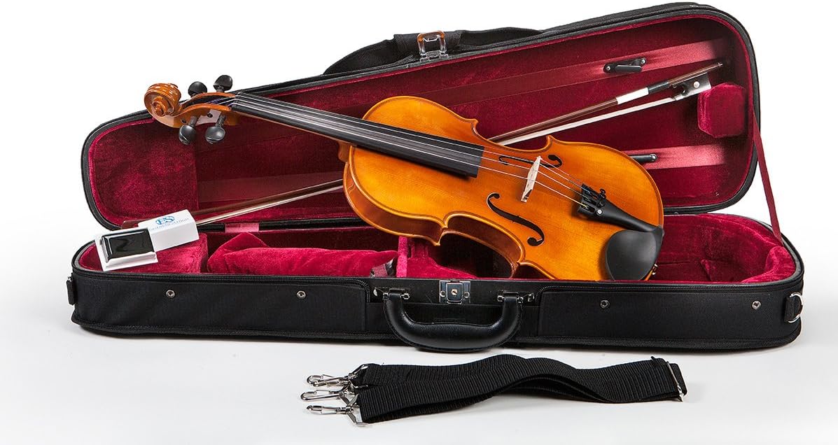 Samuel eastman violin vl100 price Clearance