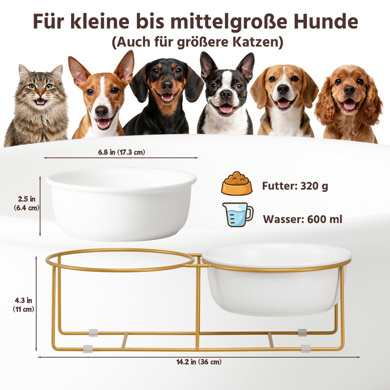 Erhöhtes Hundenapf-Set aus Keramik mit Metallständer - Doppelte Fressnäpfe für Kleine bis Mittelgroße Hunde - Ideal für Futter und Wasser - Je 600 ml / 320 g - Weiß