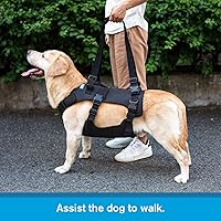 Vista 3 de Arnés de elevación para perros, chaleco de elevación de rehabilitación para perros, soporte y recuperación, correas de elevación ajustables