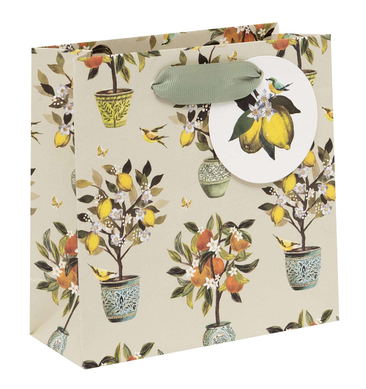 Glick Small Gift Bag - Fruit Orchard Design - 140 x 140 x 60mm