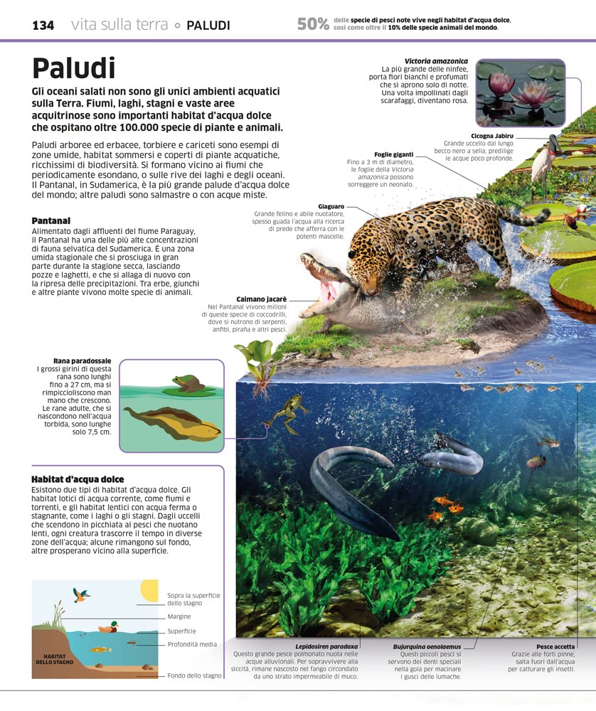 La grande enciclopedia della Terra. Ediz. a colori
