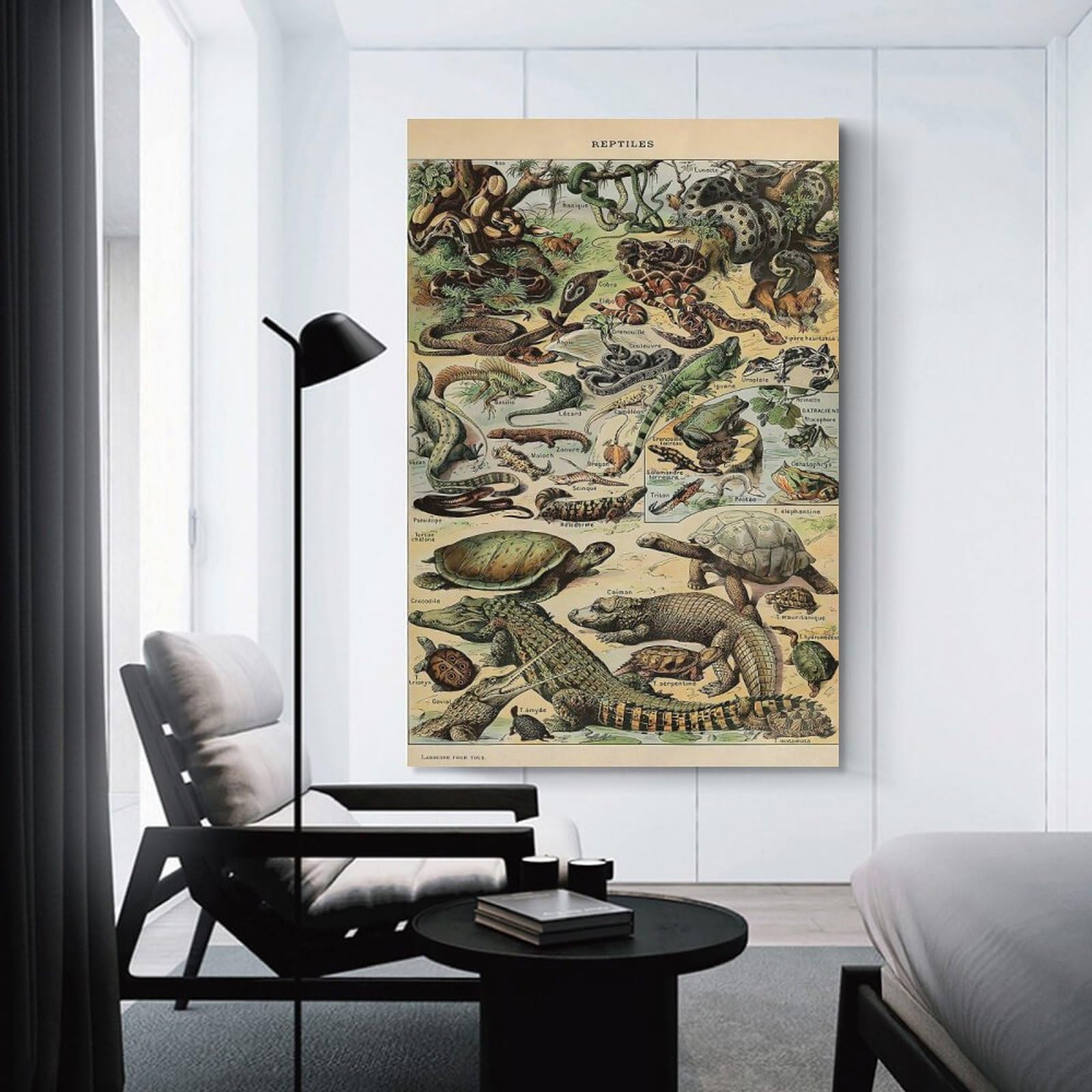 Junmoney Hanging Wall Art Adolphe Millot Reptiles, 12x18inch(30x45cm), for Wall Displays, Bedrooms Or Room Updates, Wall Decor Suited to Curated Displays
