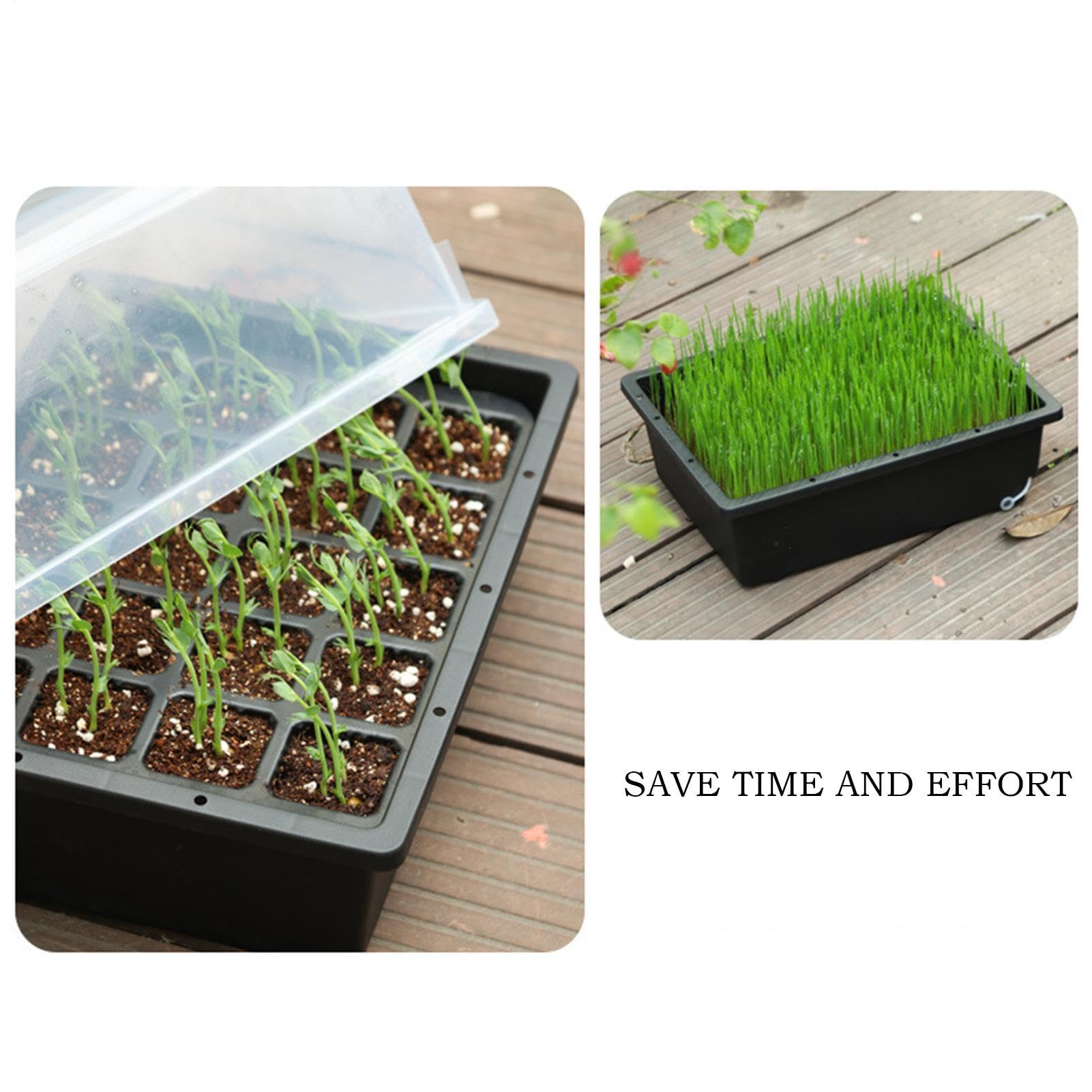 Kit per Germinazione Semi Set Piante Riutilizzabile