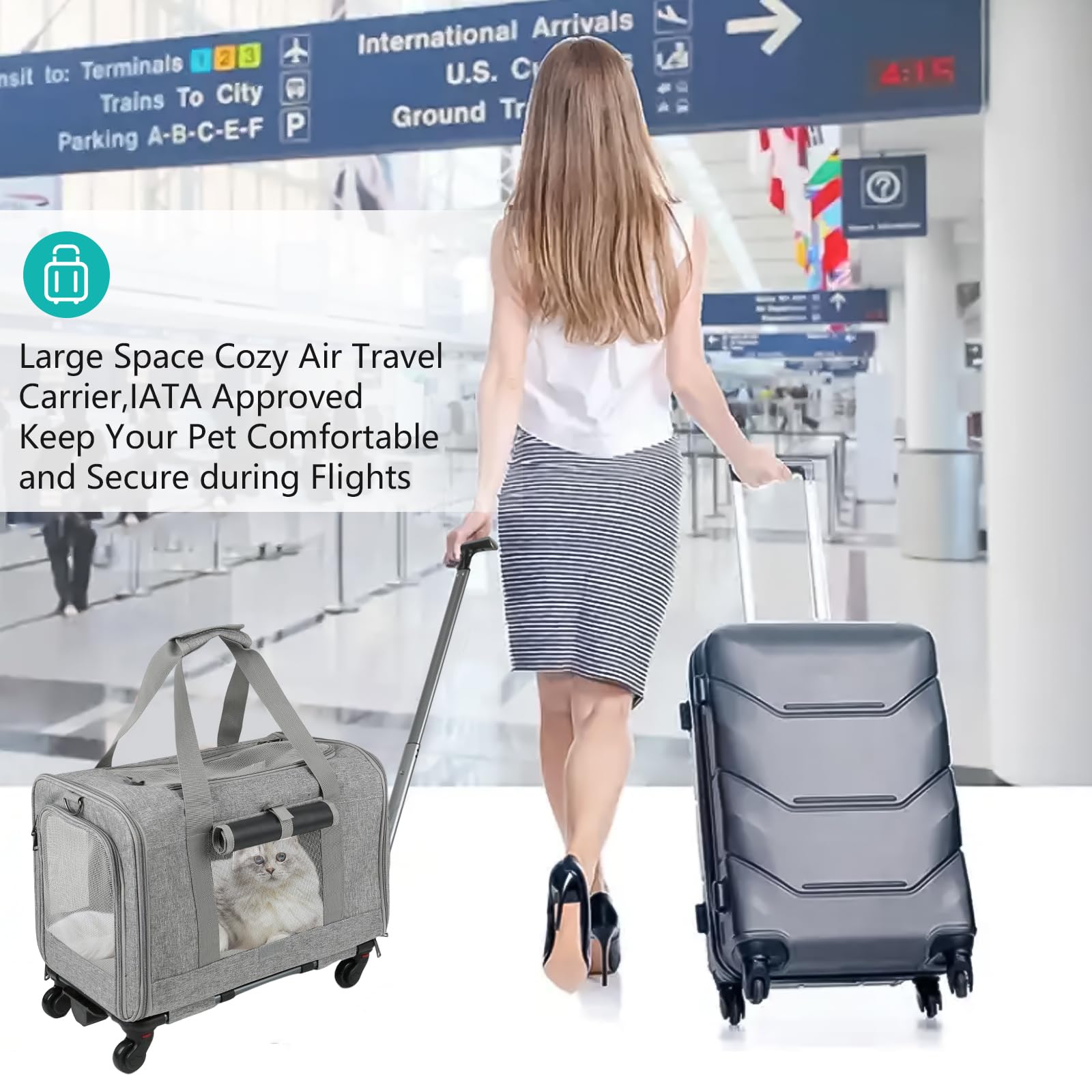 Transporttasche mit Rollen für Katze und Hunde, Tragetasche mit Teleskopgriff und Abnehmbaren Rädern, Faltbare Haustiertrage Transportbox mit Trolley für Kleine Mittelgroße Hund und Katzen (Blau)