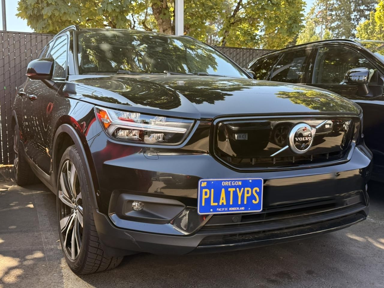 CravenSpeed Platypus License Plate Mount Compatible with Volvo XC40, EX40 and C40 | 2019-2025 | No Drilling | Installs in Seconds | Made of Stainless Steel & Aluminum | Made in USA