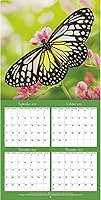 Vista 5 de Turner - Mini calendario fotográfico de pared con mariposas (24998950054)