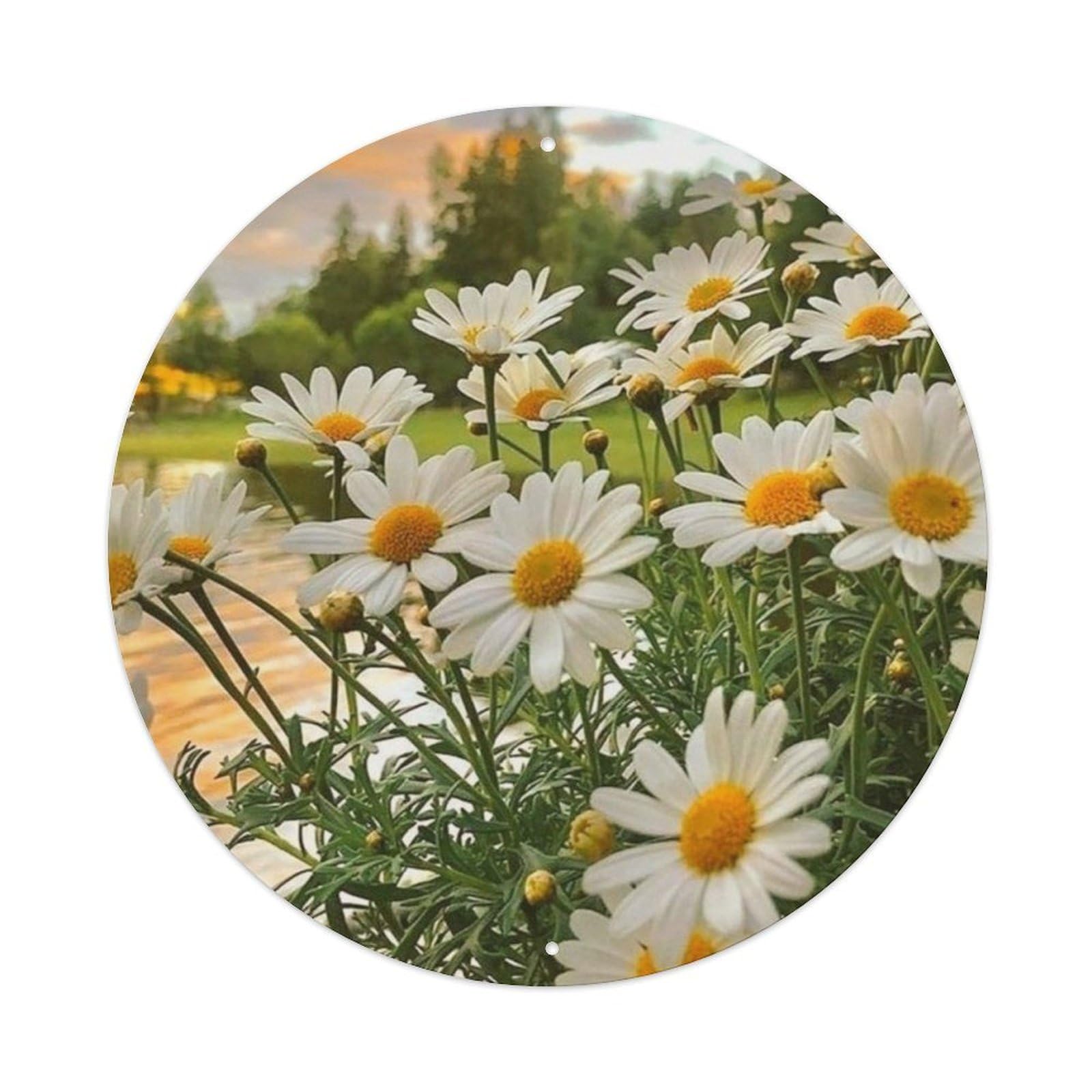 Small Daisy Meadow Botanical Landscape Vintage Metal Tin Sign
