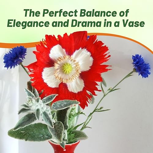 Miniatura 6 de Outsidepride Papaver Somniferum Poppy - Flores de jardín con bandera danesa - 10000 semillas