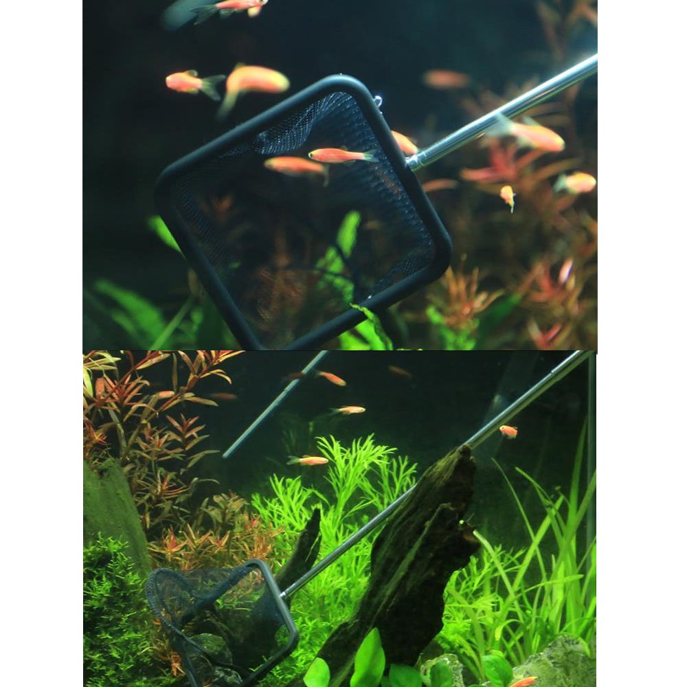 2 Stück Kescher Aus Edelstahl Für Aquarium – Rundes Tauchnetz, Leicht, Für Fische & Garnelen