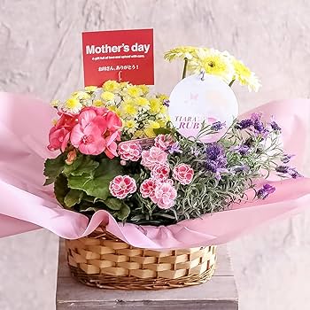 Amazon｜母の日 ギフト 母の日専用 季節の寄せ鉢 寄せカゴ お