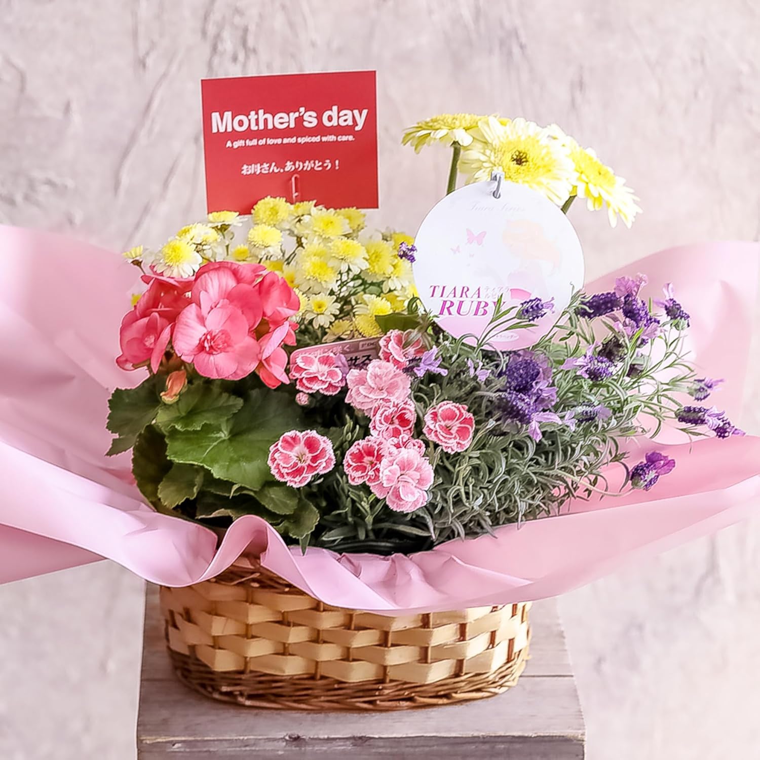 Amazon｜母の日 ギフト 母の日専用 季節の寄せ鉢 寄せカゴ お