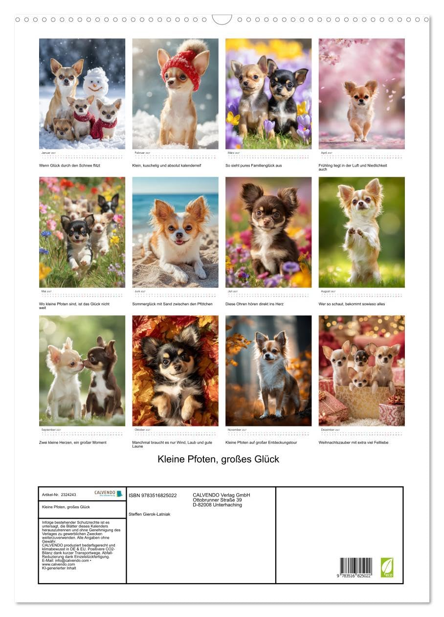 Kleine Pfoten, großes Glück (Wandkalender 2027 DIN A2 hoch), CALVENDO Monatskalender: Dieser Chihuahua-Kalender zeigt die süßesten Fellnasen in ... herzerwärmenden Momenten. (CALVENDO Tiere)