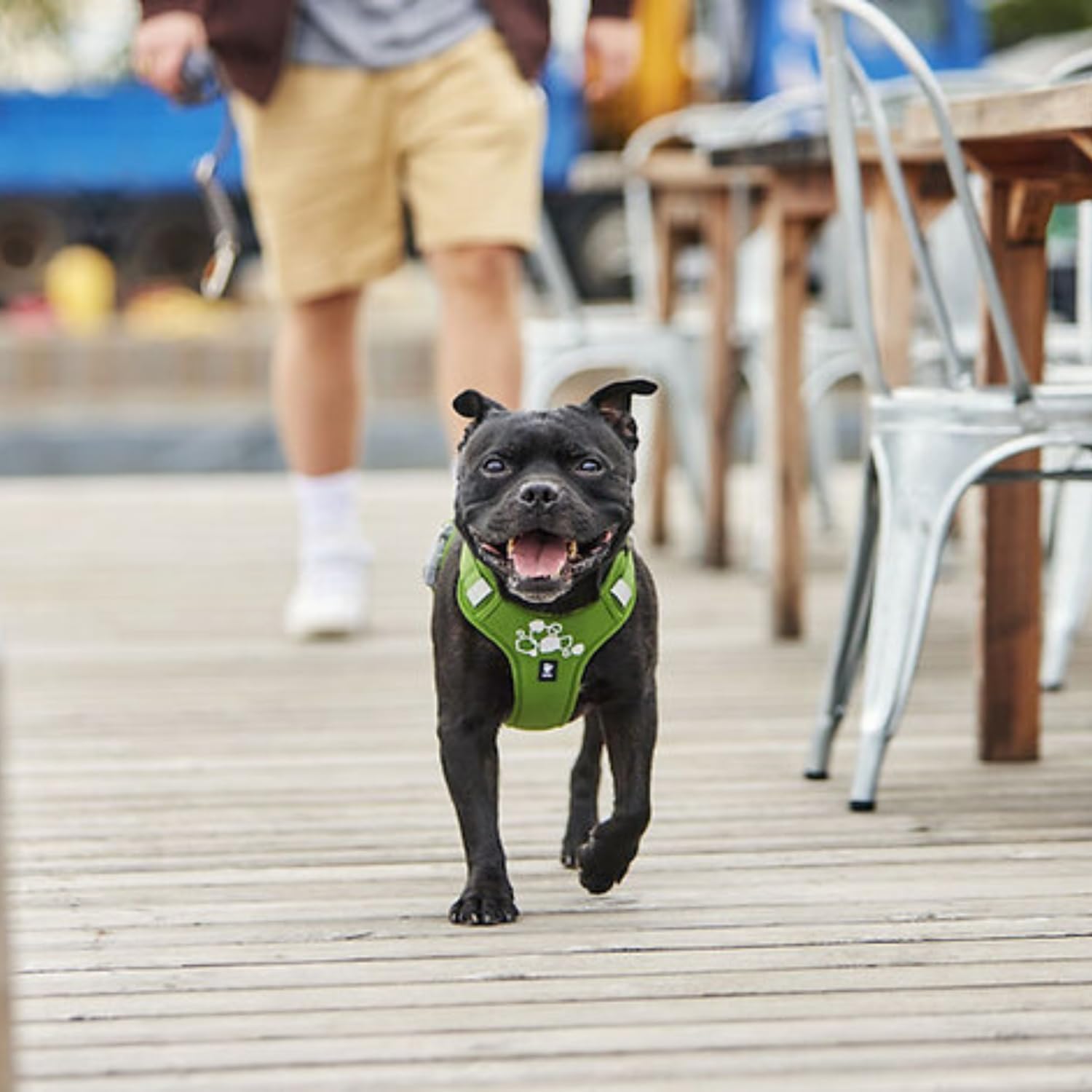 Amazon | Hurtta（フルッタ） ウォーリアハーネス2エコ 犬用ハーネス