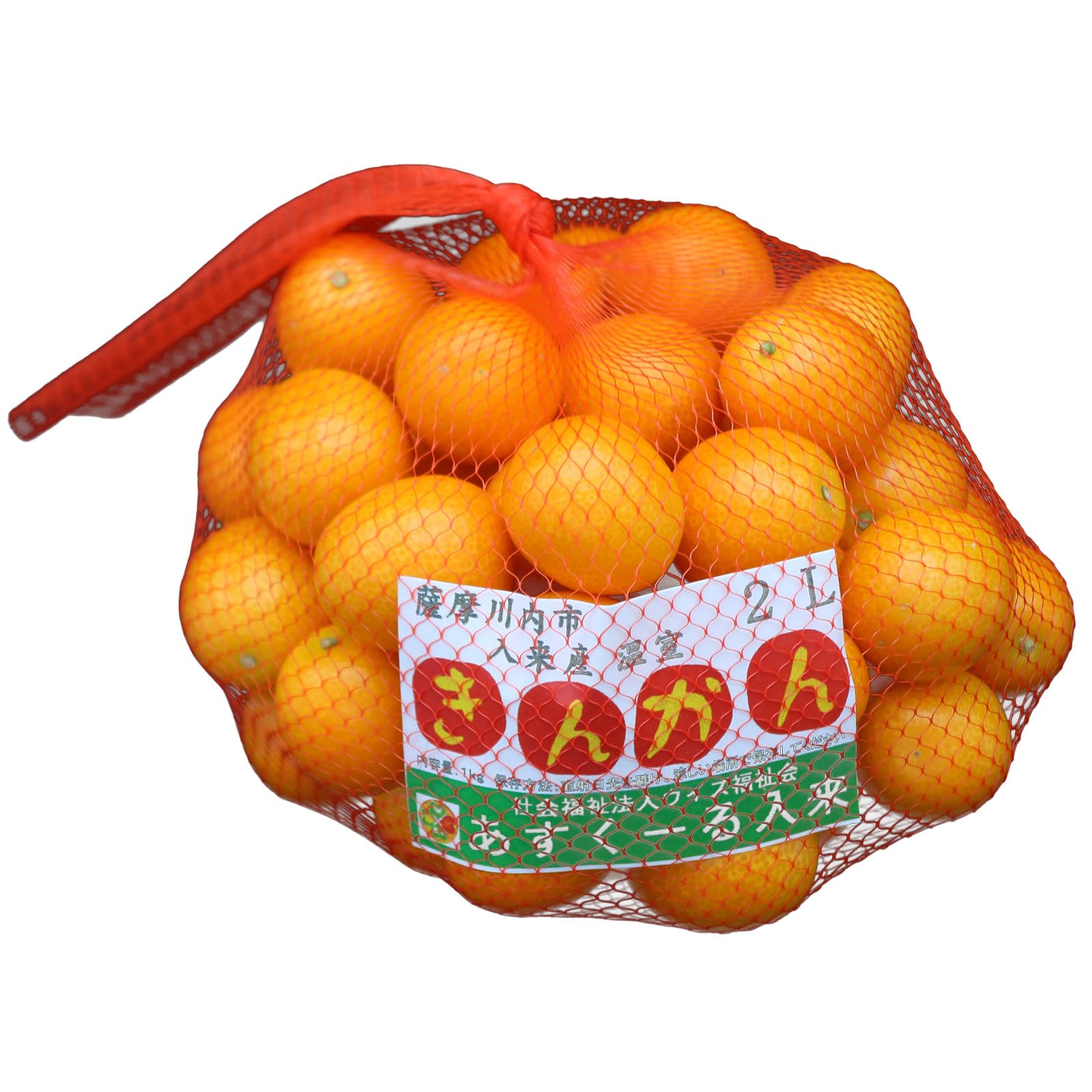 ①ハウスきんかん 16キロ