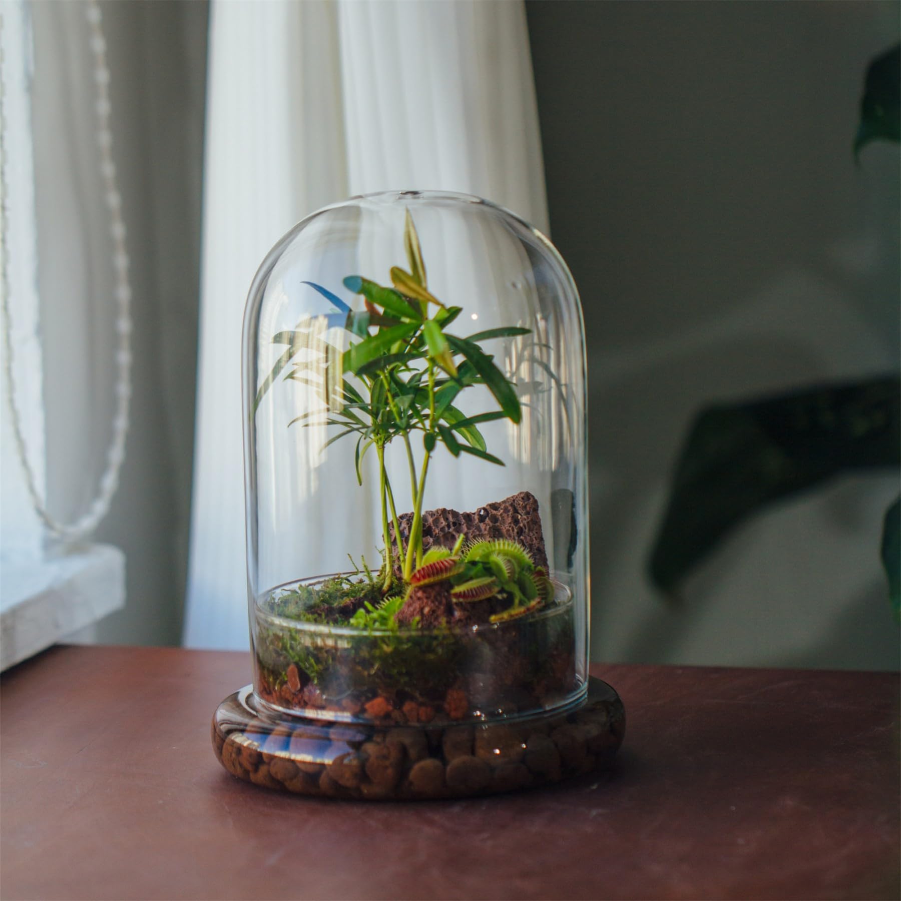 NCYP Dekorative klare Glaskuppel mit Luftloch, 15x21cm, Glasglocke mit Boden Heimtisch Display Glas Terrariumbehälter für Blumen Tafelaufsatz (Nur Glaskuppel)
