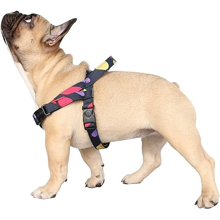 kmart pet harness