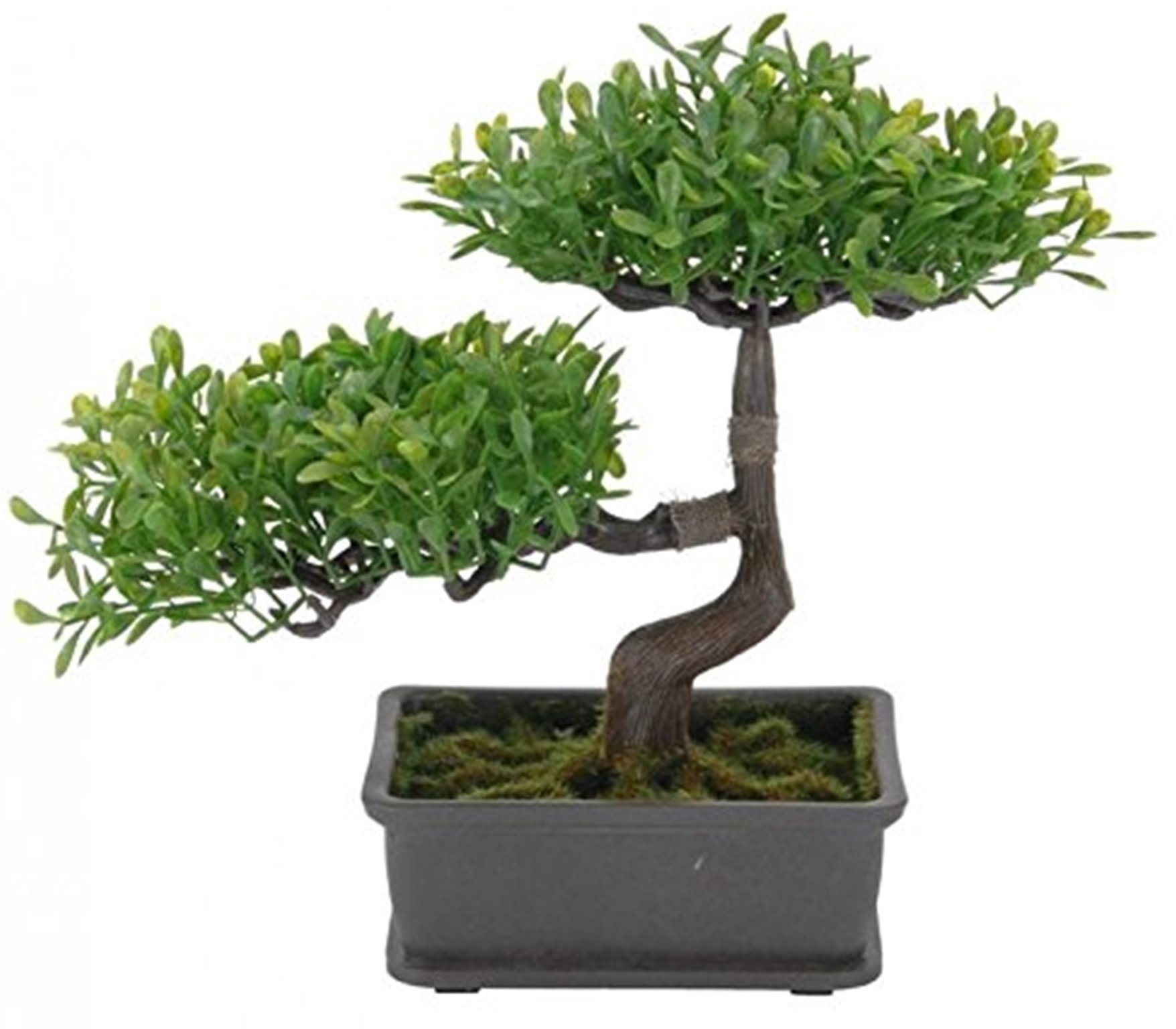Koop Bonsai tree in pot Artificial plant Artificial tree mini trees in pot  (Leaves) : Amazon.co.uk: Garden