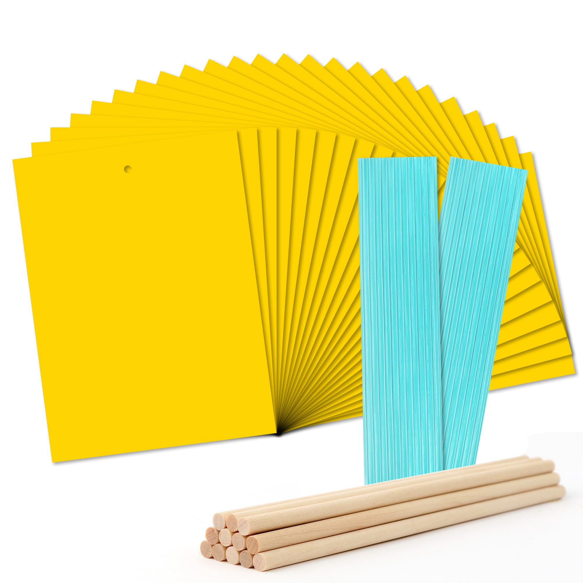 LandisunFruit-Fly Sticky-Trap Outdoor Indoor Yellow Sticky Insect Traps Bug-Killer Catcher NonToxic and Odorless Dual Sided Twist Ties Included