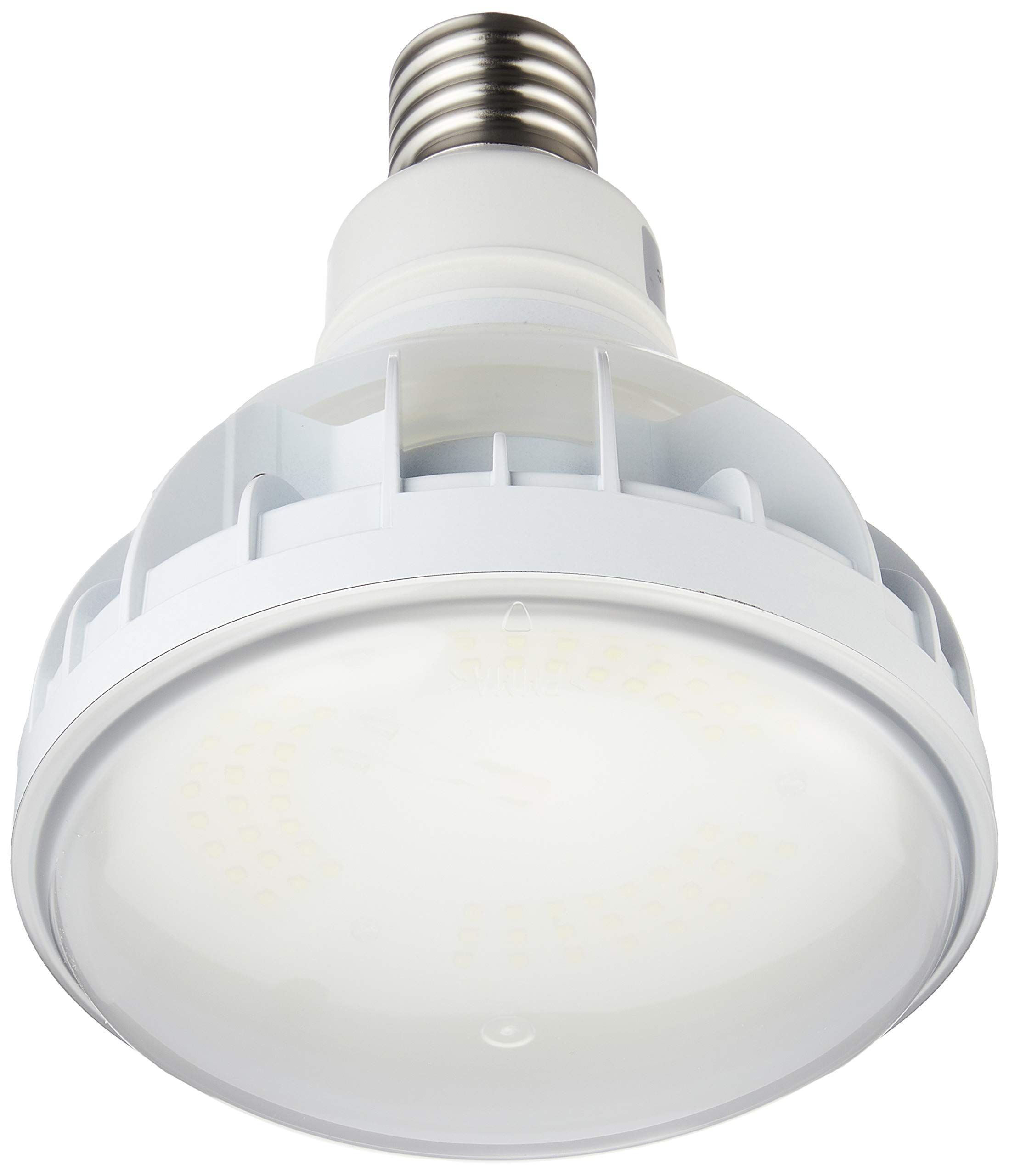 Amazon | 岩崎電気 LED電球 セルフバラスト水銀ランプ100v500w屋外用
