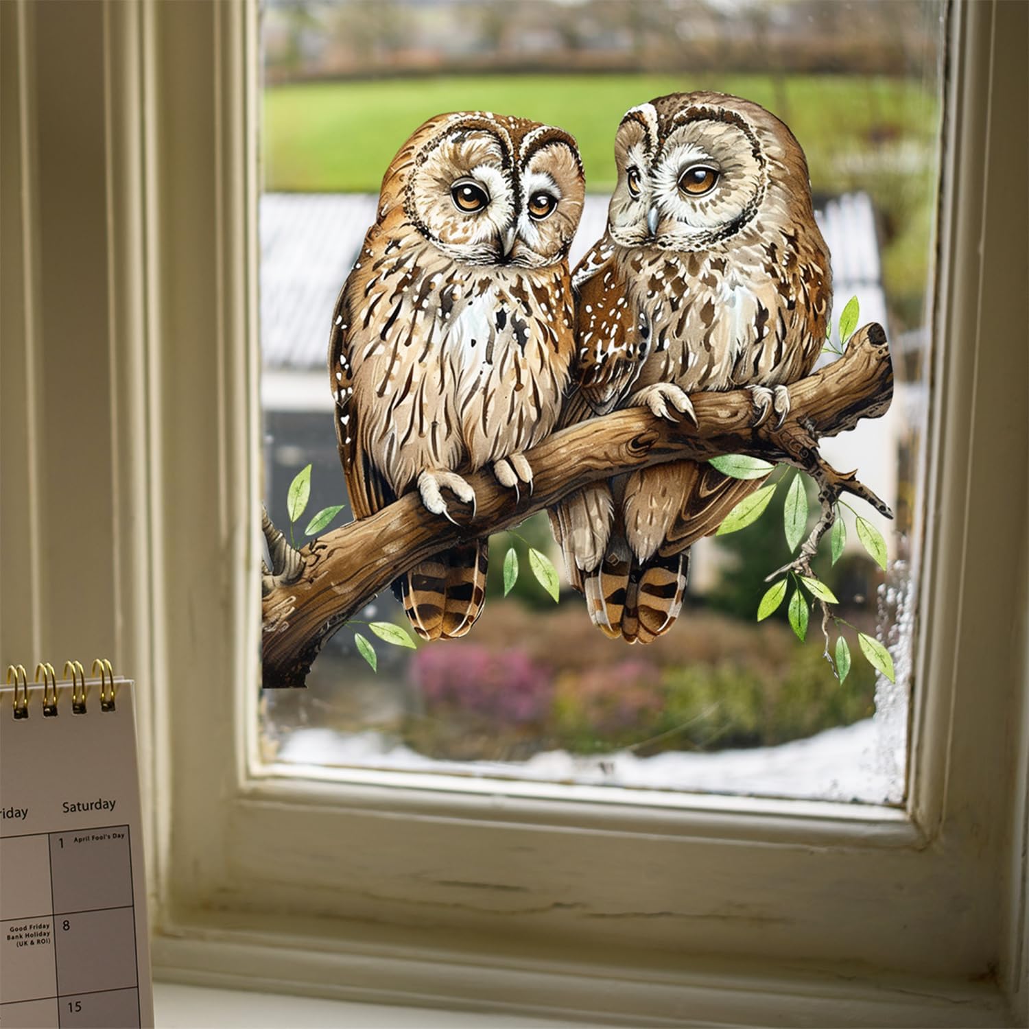 Amazon.com: ROLY BEE 3 Pieces 3D Windows Stickers Realistic owl Gaze ...