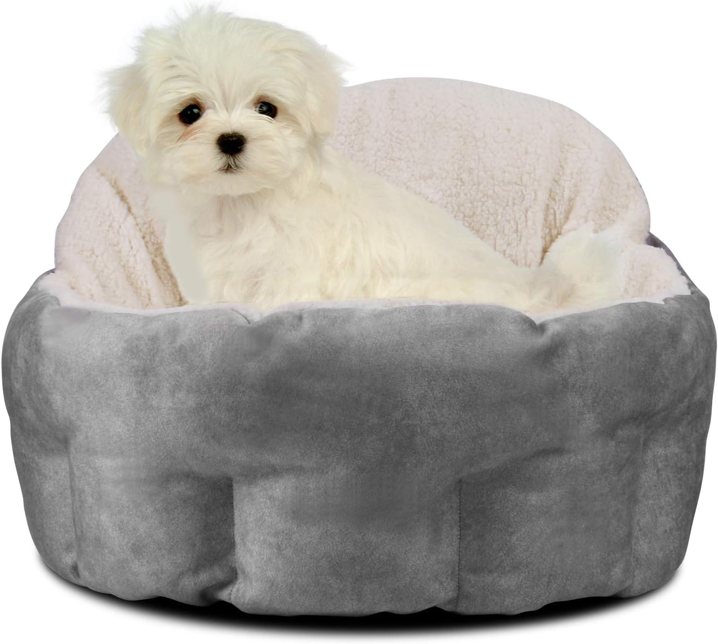 high wall dog bed
