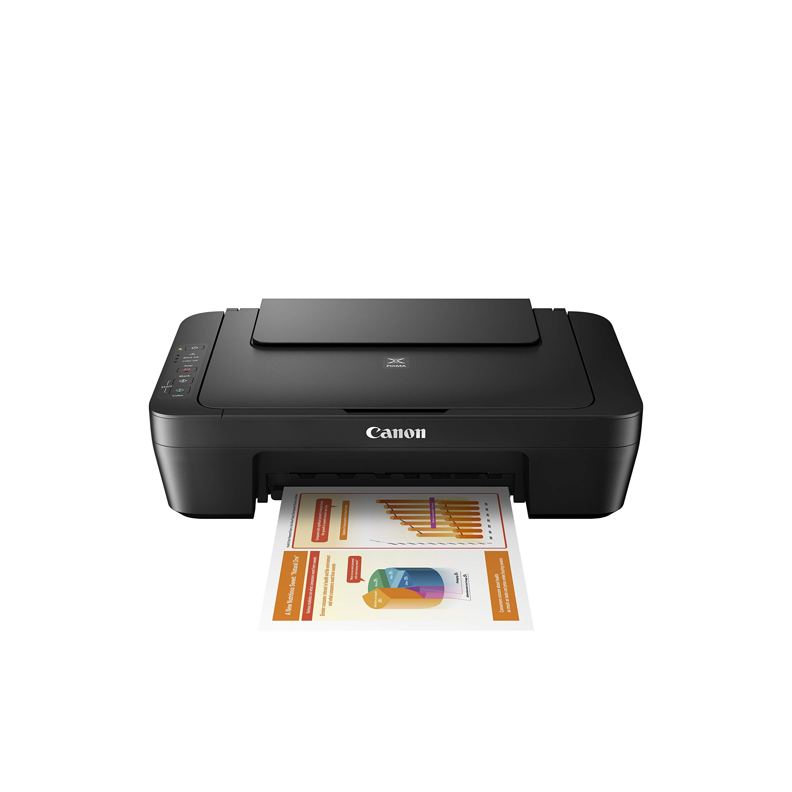 Canon Printer Drucker PIXMA MG2550s (0727C006)