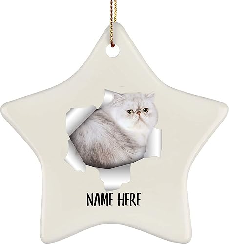 Nombre personalizado gato persa blanco gris grieta regalos 2023 adornos para árbol de Navidad Nombre personalizado gato persa blanco gris grieta regalos 2023 adornos para árbol de Navidad