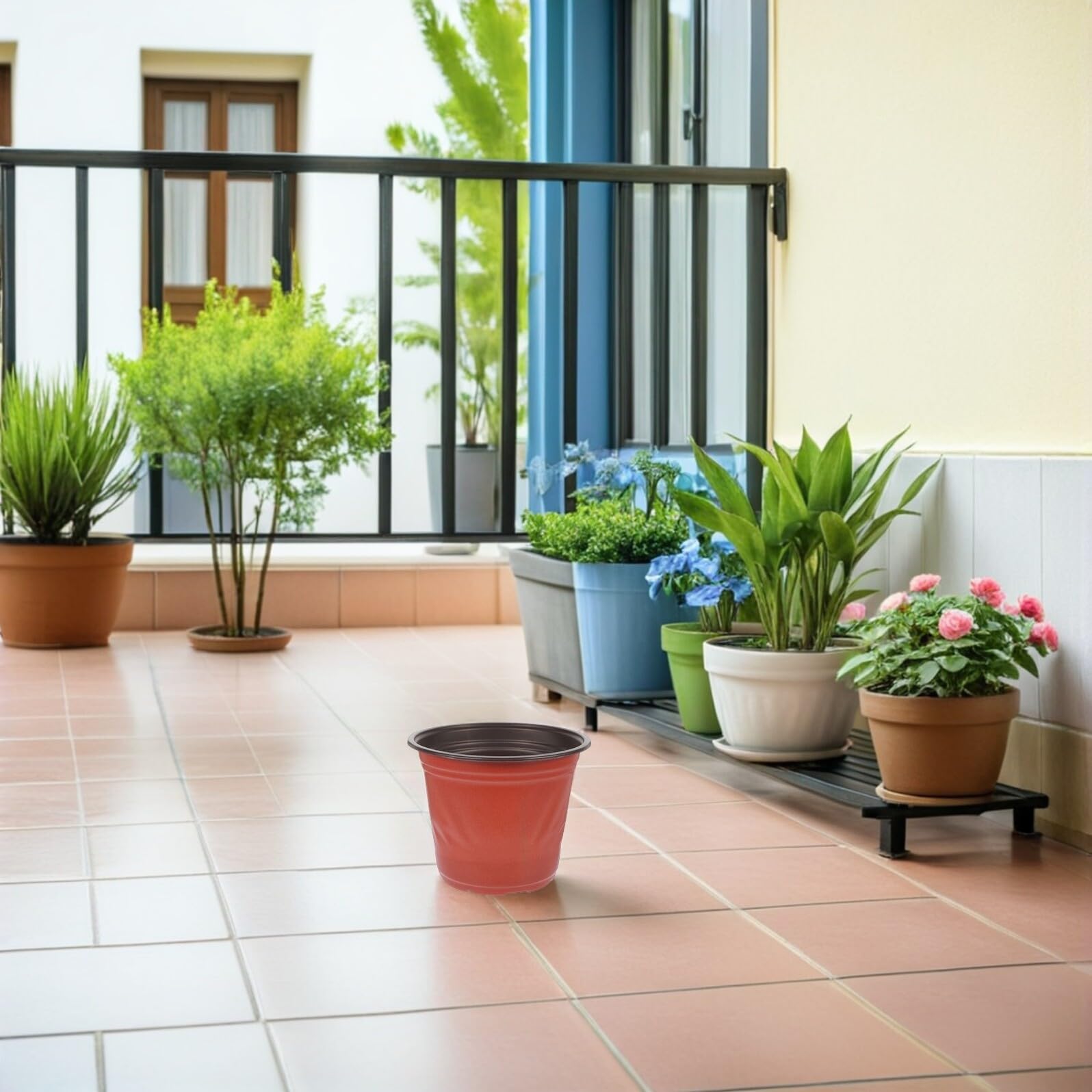 60 pièces Lot de Pots de Semis Ronds Plastique PP à Drainage Pots Légers pour Succulentes et Jardinage Intérieur Extérieur pour Plantation et Bouturage