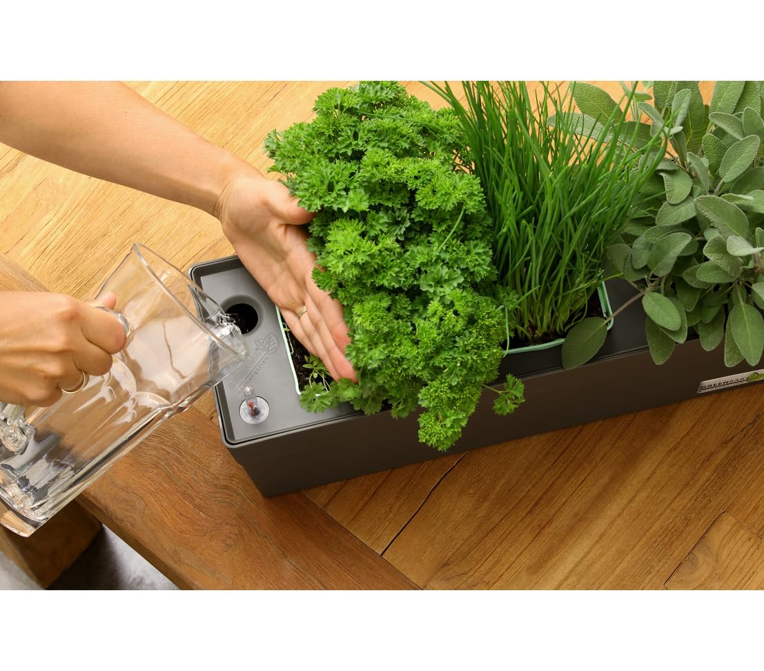 Greenbar® Kräuterkasten, für 3 Kräutertöpfe, mit integriertem Bewässerungssystem, für Indoor/Outdoor, 48 x 16 x 15.5 cm, Kunststoff, anthrazit