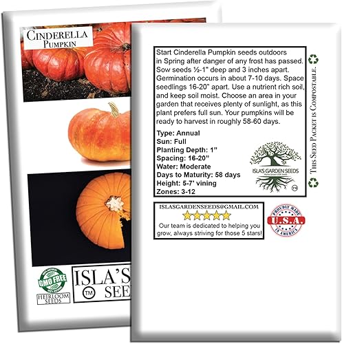 Miniatura 7 de Semillas de calabaza de Cenicienta para plantar, más de 25 semillas de reliquia por paquete, semillas sin OMG, (semillas de jardín de Isla), nombre