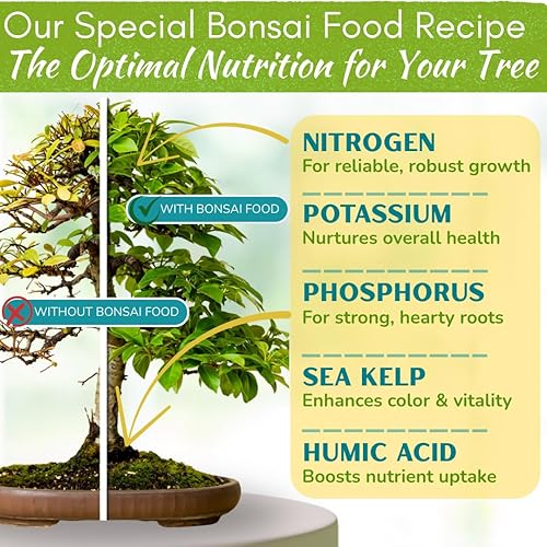 Miniatura 2 de Alimento para árbol bonsái | Fertilizante líquido suave de primera calidad para un crecimiento saludable, tallos fuertes y hermosas floraciones |