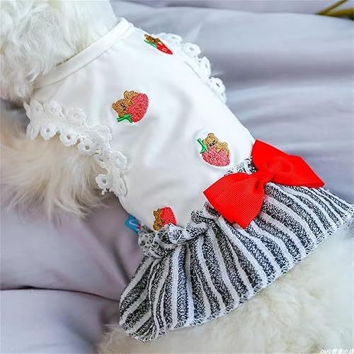 Miniatura 4 de Chihuahua Yorkies - Vestidos de princesa de verano, lindo vestido de oso, trajes para cachorros para perros pequeños, niña, clip de mariposa a