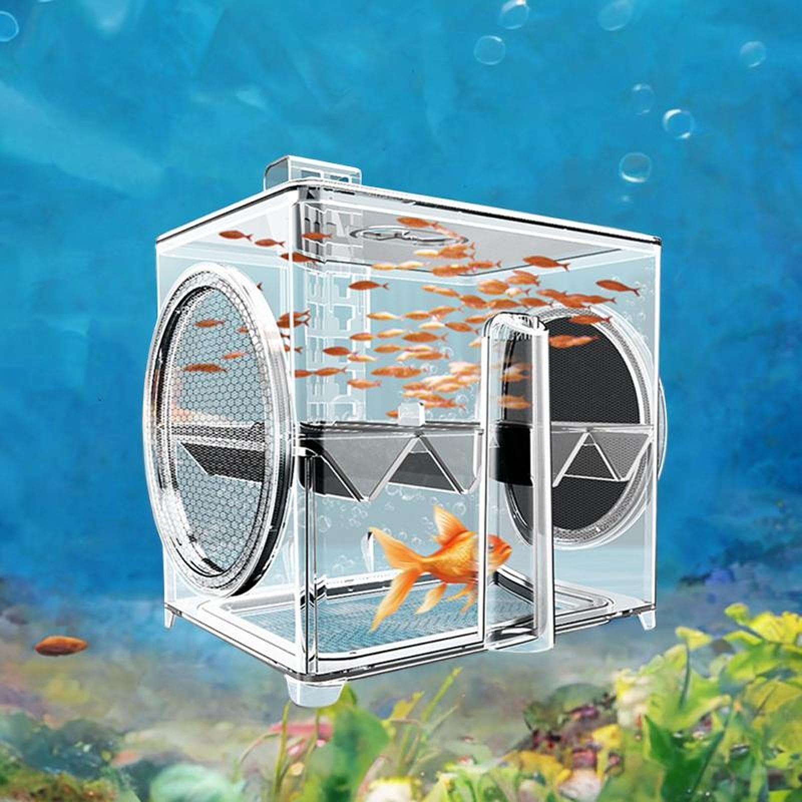 Amazon | Qialexicon 水族館魚のブリーダーボックスハッチングボックス