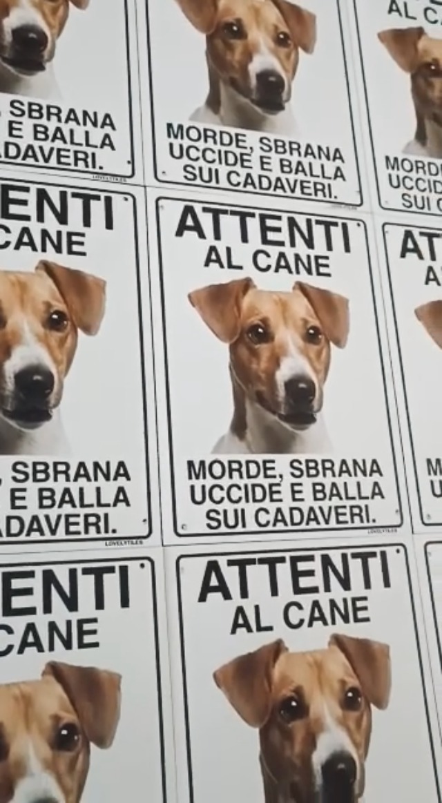 Targa Metallo 'Attenti Al Cane' 15x20 Cm - Personalizzabile Con Foto